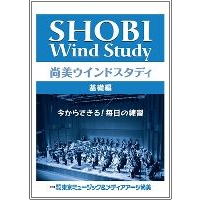 Shobi Wind Study